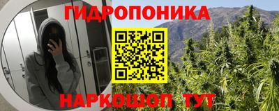 гашик Краснознаменск