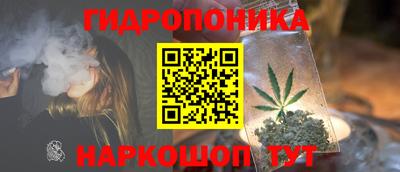 гашик Краснознаменск